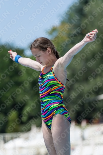 2017 - 8. Sofia Diving Cup 2017 - 8. Sofia Diving Cup 03012_12089.jpg