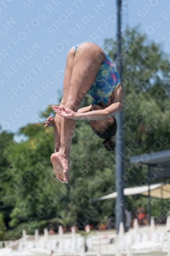 2017 - 8. Sofia Diving Cup 2017 - 8. Sofia Diving Cup 03012_12102.jpg