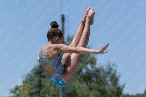 2017 - 8. Sofia Diving Cup 2017 - 8. Sofia Diving Cup 03012_12105.jpg