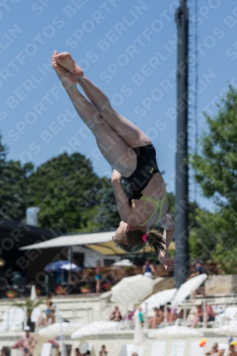 2017 - 8. Sofia Diving Cup 2017 - 8. Sofia Diving Cup 03012_12140.jpg