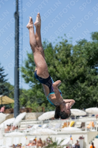 2017 - 8. Sofia Diving Cup 2017 - 8. Sofia Diving Cup 03012_12174.jpg