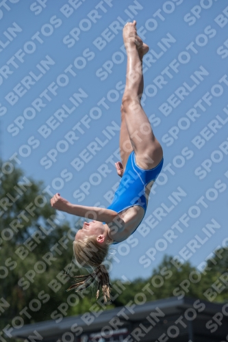 2017 - 8. Sofia Diving Cup 2017 - 8. Sofia Diving Cup 03012_12196.jpg