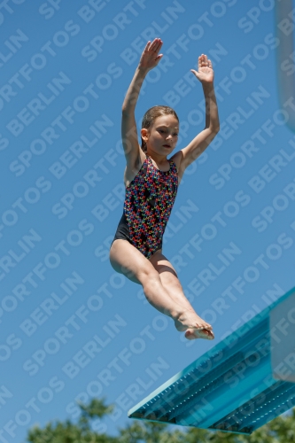 2017 - 8. Sofia Diving Cup 2017 - 8. Sofia Diving Cup 03012_12212.jpg