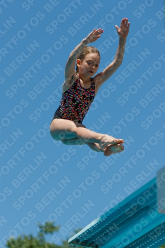 2017 - 8. Sofia Diving Cup 2017 - 8. Sofia Diving Cup 03012_12213.jpg