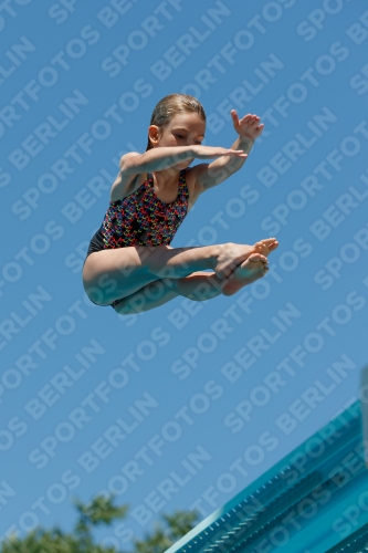 2017 - 8. Sofia Diving Cup 2017 - 8. Sofia Diving Cup 03012_12214.jpg