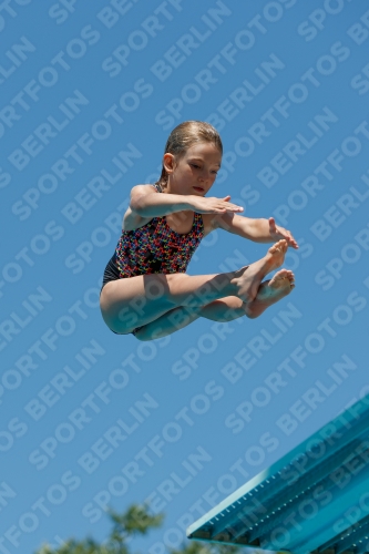 2017 - 8. Sofia Diving Cup 2017 - 8. Sofia Diving Cup 03012_12215.jpg