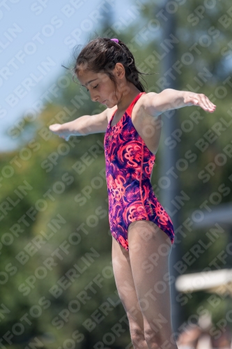 2017 - 8. Sofia Diving Cup 2017 - 8. Sofia Diving Cup 03012_12236.jpg