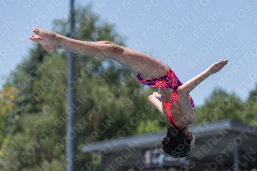 2017 - 8. Sofia Diving Cup 2017 - 8. Sofia Diving Cup 03012_12238.jpg