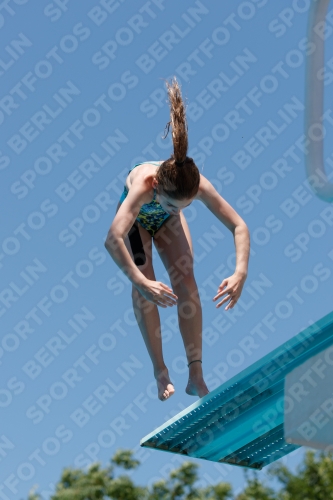 2017 - 8. Sofia Diving Cup 2017 - 8. Sofia Diving Cup 03012_12243.jpg