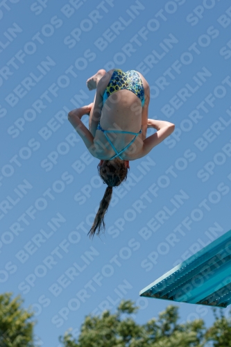 2017 - 8. Sofia Diving Cup 2017 - 8. Sofia Diving Cup 03012_12244.jpg
