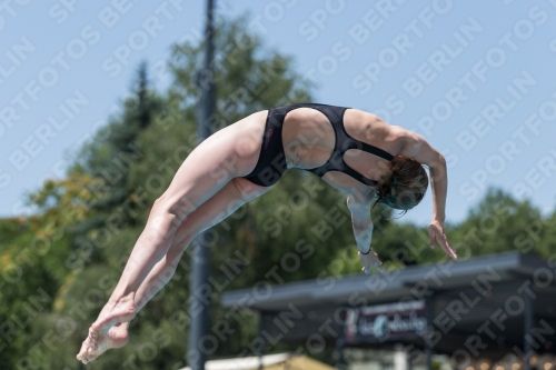 2017 - 8. Sofia Diving Cup 2017 - 8. Sofia Diving Cup 03012_12250.jpg