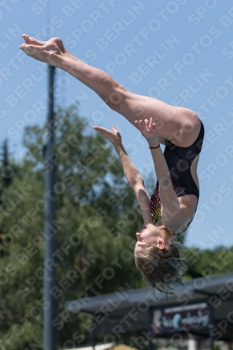 2017 - 8. Sofia Diving Cup 2017 - 8. Sofia Diving Cup 03012_12253.jpg