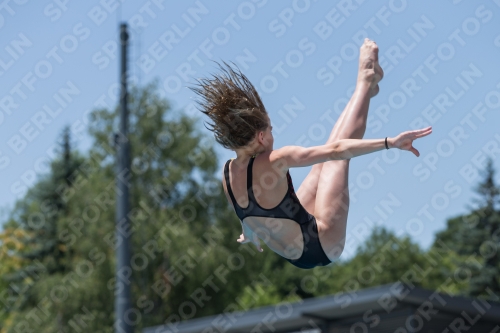 2017 - 8. Sofia Diving Cup 2017 - 8. Sofia Diving Cup 03012_12254.jpg
