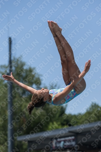 2017 - 8. Sofia Diving Cup 2017 - 8. Sofia Diving Cup 03012_12298.jpg