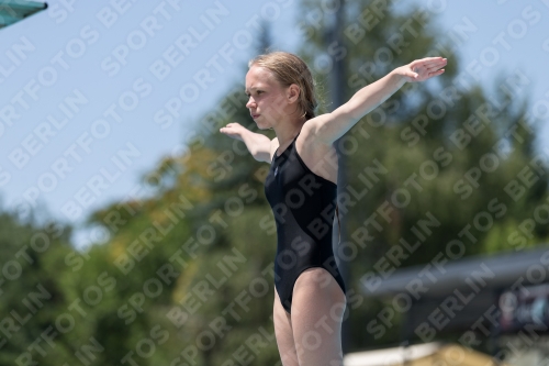 2017 - 8. Sofia Diving Cup 2017 - 8. Sofia Diving Cup 03012_12303.jpg
