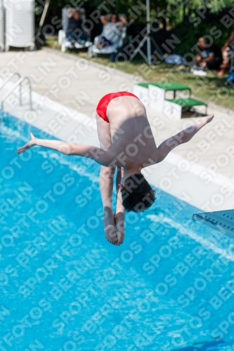 2017 - 8. Sofia Diving Cup 2017 - 8. Sofia Diving Cup 03012_12405.jpg