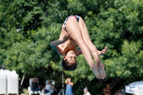 2017 - 8. Sofia Diving Cup 2017 - 8. Sofia Diving Cup 03012_12410.jpg