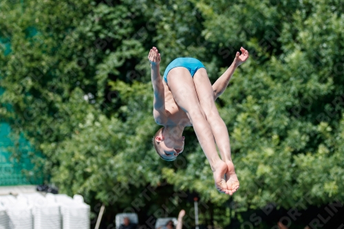 2017 - 8. Sofia Diving Cup 2017 - 8. Sofia Diving Cup 03012_12420.jpg