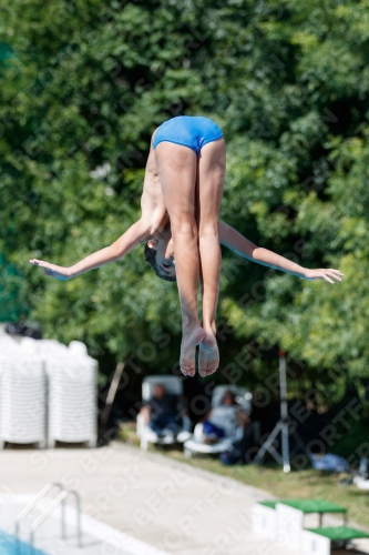 2017 - 8. Sofia Diving Cup 2017 - 8. Sofia Diving Cup 03012_12464.jpg