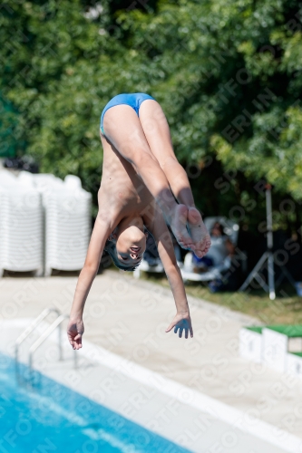 2017 - 8. Sofia Diving Cup 2017 - 8. Sofia Diving Cup 03012_12467.jpg