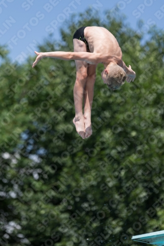 2017 - 8. Sofia Diving Cup 2017 - 8. Sofia Diving Cup 03012_12609.jpg