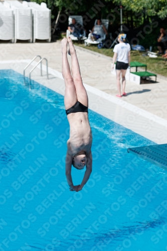 2017 - 8. Sofia Diving Cup 2017 - 8. Sofia Diving Cup 03012_12629.jpg