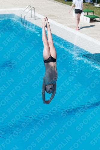 2017 - 8. Sofia Diving Cup 2017 - 8. Sofia Diving Cup 03012_12630.jpg