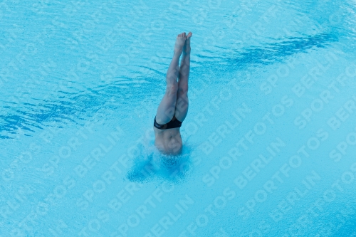 2017 - 8. Sofia Diving Cup 2017 - 8. Sofia Diving Cup 03012_12633.jpg
