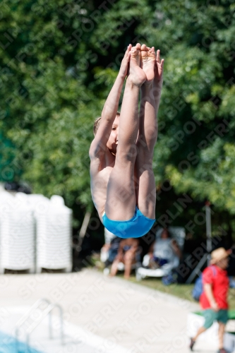 2017 - 8. Sofia Diving Cup 2017 - 8. Sofia Diving Cup 03012_12686.jpg