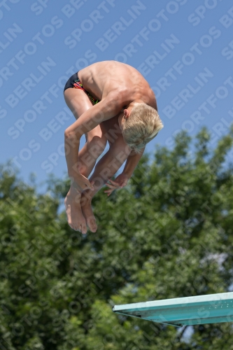 2017 - 8. Sofia Diving Cup 2017 - 8. Sofia Diving Cup 03012_12688.jpg