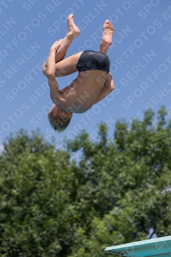 2017 - 8. Sofia Diving Cup 2017 - 8. Sofia Diving Cup 03012_12690.jpg