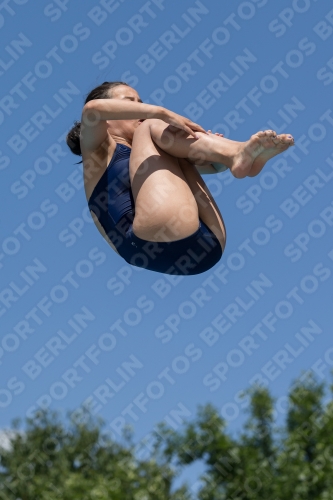 2017 - 8. Sofia Diving Cup 2017 - 8. Sofia Diving Cup 03012_12694.jpg