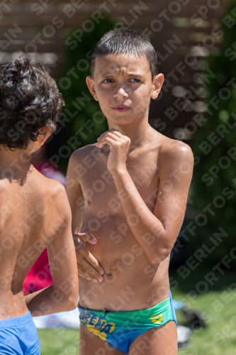 2017 - 8. Sofia Diving Cup 2017 - 8. Sofia Diving Cup 03012_12701.jpg