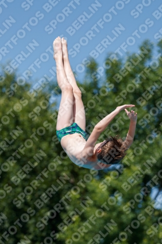 2017 - 8. Sofia Diving Cup 2017 - 8. Sofia Diving Cup 03012_12756.jpg