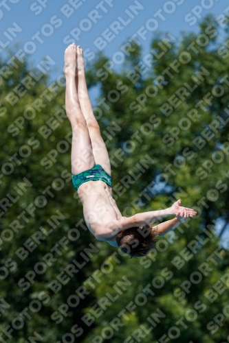 2017 - 8. Sofia Diving Cup 2017 - 8. Sofia Diving Cup 03012_12757.jpg
