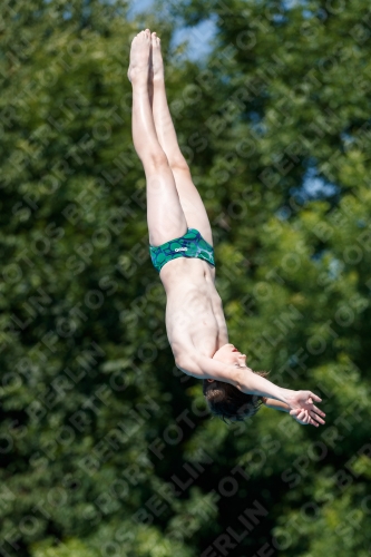 2017 - 8. Sofia Diving Cup 2017 - 8. Sofia Diving Cup 03012_12758.jpg