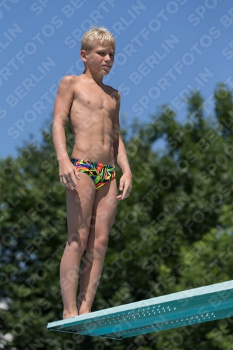 2017 - 8. Sofia Diving Cup 2017 - 8. Sofia Diving Cup 03012_12763.jpg