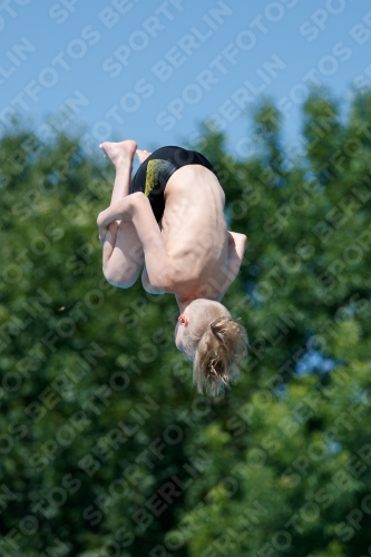 2017 - 8. Sofia Diving Cup 2017 - 8. Sofia Diving Cup 03012_12794.jpg
