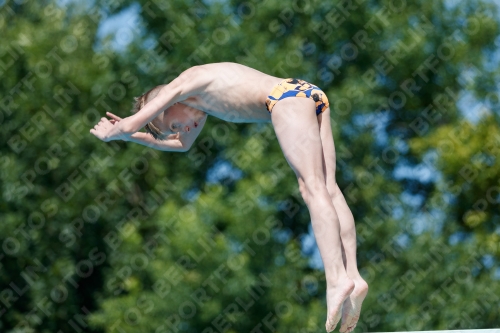 2017 - 8. Sofia Diving Cup 2017 - 8. Sofia Diving Cup 03012_12829.jpg