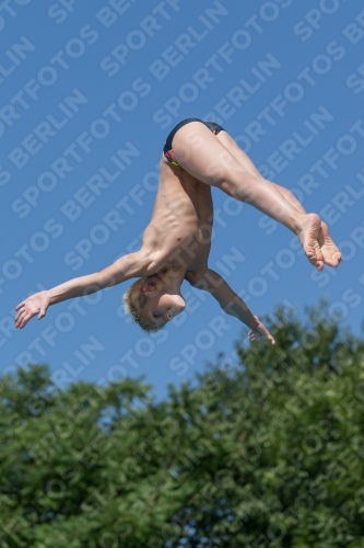 2017 - 8. Sofia Diving Cup 2017 - 8. Sofia Diving Cup 03012_13095.jpg