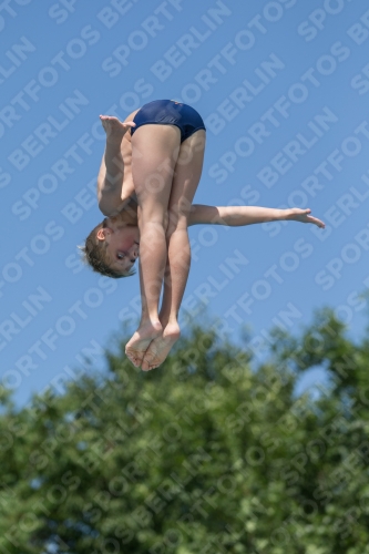 2017 - 8. Sofia Diving Cup 2017 - 8. Sofia Diving Cup 03012_13102.jpg