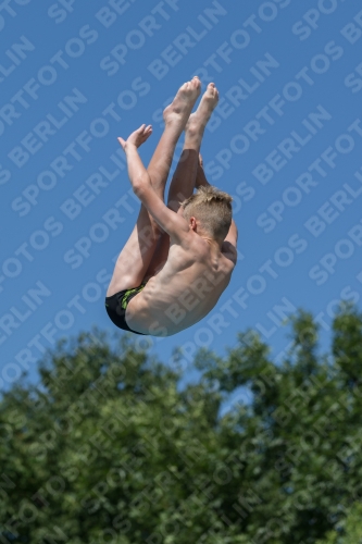 2017 - 8. Sofia Diving Cup 2017 - 8. Sofia Diving Cup 03012_13162.jpg