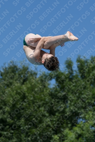 2017 - 8. Sofia Diving Cup 2017 - 8. Sofia Diving Cup 03012_13193.jpg