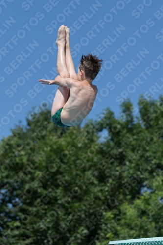 2017 - 8. Sofia Diving Cup 2017 - 8. Sofia Diving Cup 03012_13195.jpg