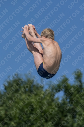 2017 - 8. Sofia Diving Cup 2017 - 8. Sofia Diving Cup 03012_13215.jpg