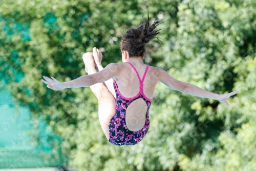 2017 - 8. Sofia Diving Cup 2017 - 8. Sofia Diving Cup 03012_13377.jpg