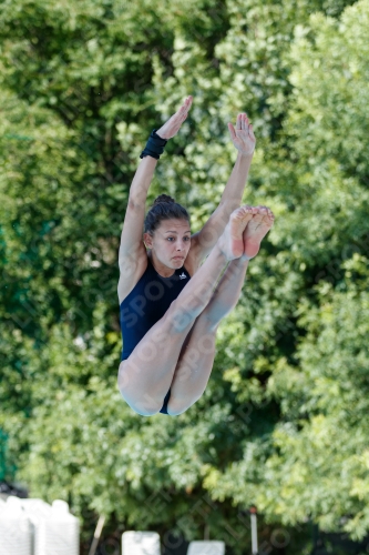 2017 - 8. Sofia Diving Cup 2017 - 8. Sofia Diving Cup 03012_13391.jpg