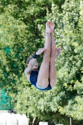 2017 - 8. Sofia Diving Cup 2017 - 8. Sofia Diving Cup 03012_13394.jpg