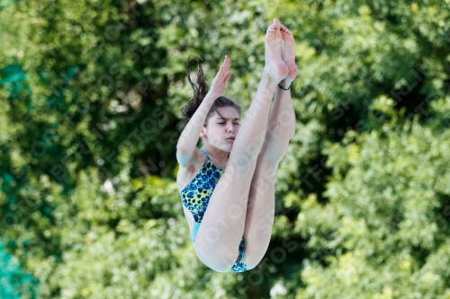 2017 - 8. Sofia Diving Cup 2017 - 8. Sofia Diving Cup 03012_13446.jpg