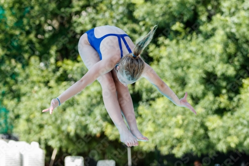 2017 - 8. Sofia Diving Cup 2017 - 8. Sofia Diving Cup 03012_13467.jpg